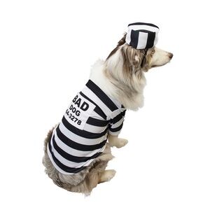 💥 HP 🆕 Maker's Halloween Pet Costume-Dog Pound Small